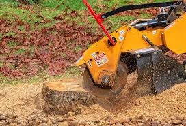 Best Lawn Disease Treatment  in Las Maravillas, NM